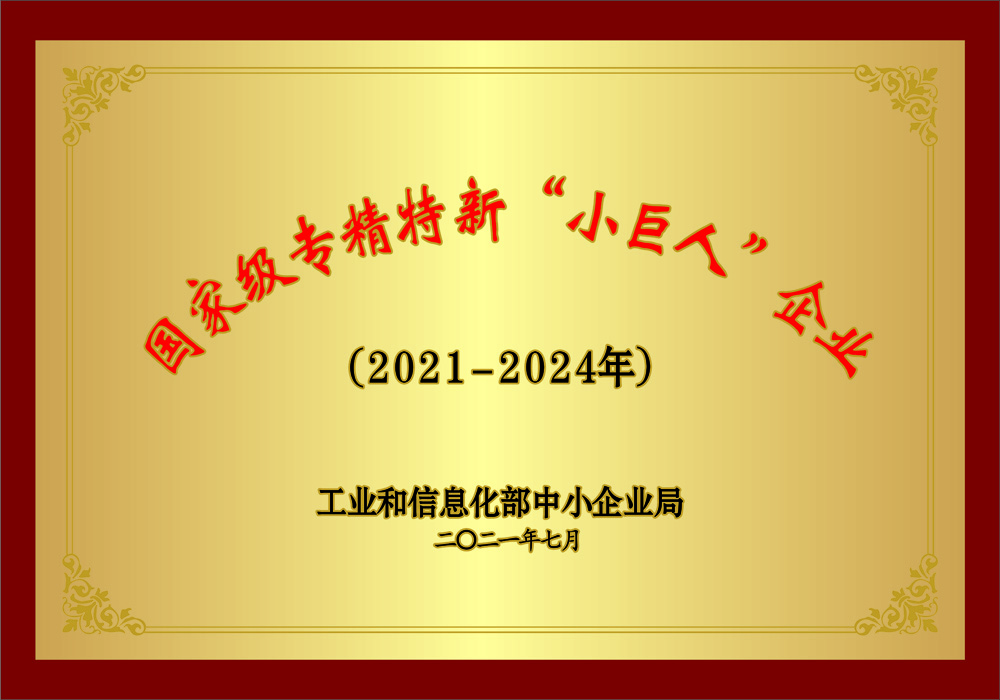 國家級專精特新“小巨人”企業